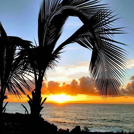 Seaview Paradise Palms&Zen Garden Apt Pahoa Exterior foto